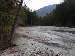 Bild_1; 285787