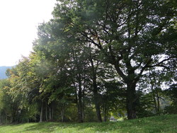 Bild_2; 285803