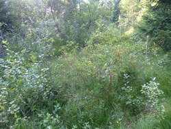 Bild_3; 285966