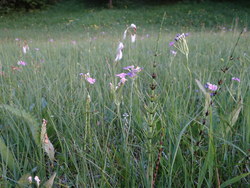 Bild_3; 285984