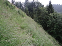 Bild_2; 286108