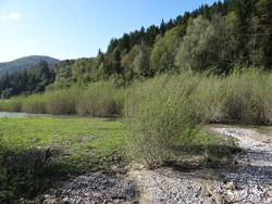 Bild_1; 286117