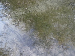 Bild_3; 286625