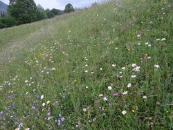 Bild_2; 286691