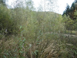 Bild_3; 286839