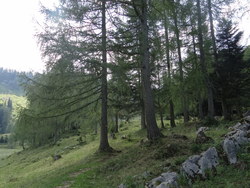 Bild_2; 286925
