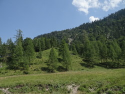 Bild_1; 286936
