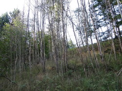 Bild_1; 287512