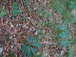 Bild_3; 287705