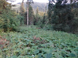 Bild_1; 287869