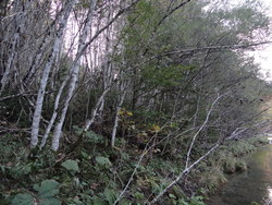 Bild_2; 288383