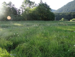 Bild_2; 288702