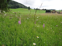 Bild_3; 288827