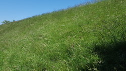 Bild_1; 289060