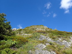 Bild_1; 290292