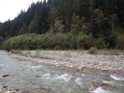 Bild_1; 291002