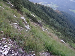 Bild_3; 292671