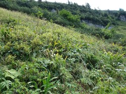 Bild_2; 292674