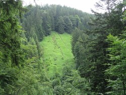 Bild_1; 293441