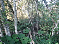 Bild_3; 293853