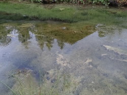 Bild_3; 294264