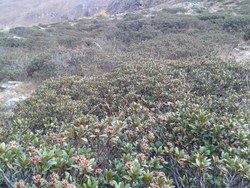 Bild_2; 294941