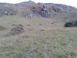 Bild_1; 294943