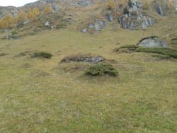 Bild_2; 294948