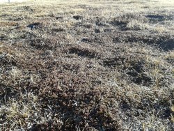 Bild_2; 294964