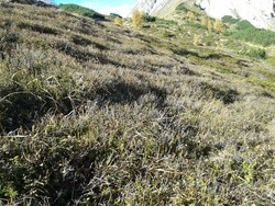 Bild_1; 294966