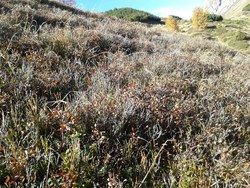 Bild_2; 294969