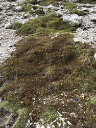 Bild_2; 294982