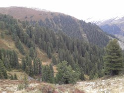 Bild_1; 294986