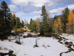 Bild_2; 294997
