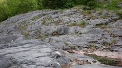 Bild_2; 295126