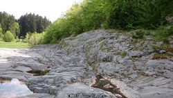 Bild_1; 295127