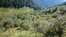 Bild_1; 295582