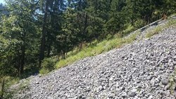 Bild_1; 295607