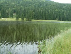 Bild_1; 296251