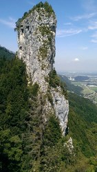 Bild_1; 296544