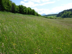 Bild_1; 297248