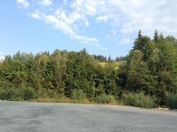 Bild_1; 298867