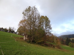 Bild_1; 301285