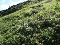Bild_3; 303616