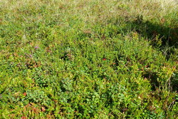 Bild_2; 304568