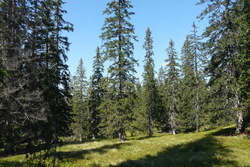 Bild_2; 305056