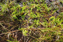 Bild_3; 305076