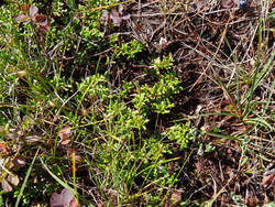 Bild_3; 305198