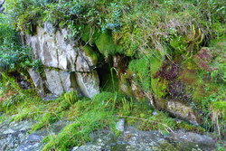 Bild_3; 305204