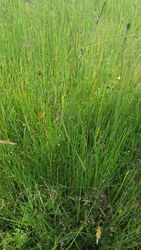 Bild_3; 312759